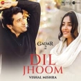 Dil Jhoom